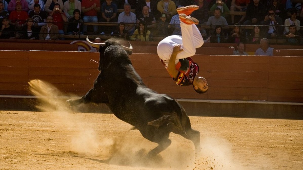 Bullfighting