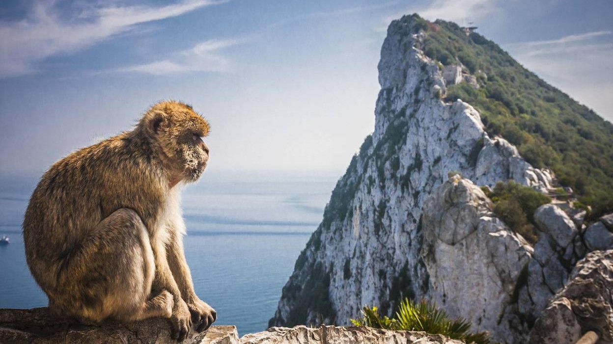 Gibraltar